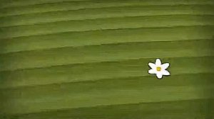 PBS Kids dot and dash logo effect compilation