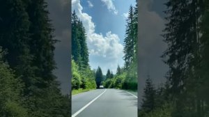 Давай с тобою помолчим... очень красивая душевная песня