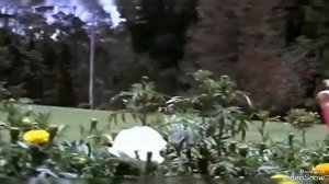 "Вдвоем" (Олег Карпович ) танцуют Чирандживи и Джухи Чавла