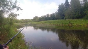 Голавль малых рек в Мае! Рыбалка на голавля! Майский голавль!!!