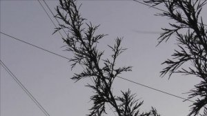 Crow Hunting aug 22/Охота на ворон