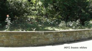 Парк и особняк Армана Ришелье в Гурзуфе(видовой фильм). HD.