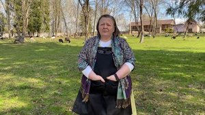 Разведение овец как бизнес.