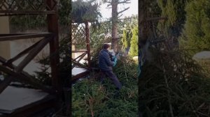 спил распил