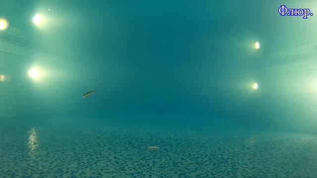 Игра ZB Orbit 110 SP на шнуре и на флюре. смотреть онлайн