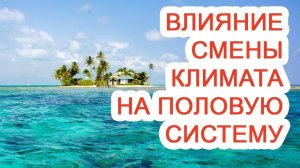 Влияние смены климата на половую систему / Доктор Черепанов