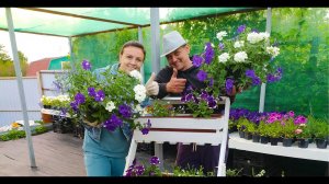 Садим цветочные композиции.