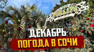 #СОЧИ 2023?НОВЫЙ ГОД В СОЧИ ПОД ПАЛЬМОЙ ?? ПОГОДА В СОЧИ В ДЕКАБРЕ