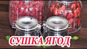Большая сушка сезонных ягод на зиму! Клубника, малина, черника для кондитерских изделий.mp4