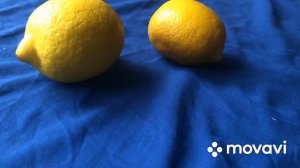 Контрастный натюрморт. Живопись 1 класс