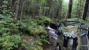 Хребет Сихотэ-Алинь. Гора Ко "Ведьмина Гора" 2003 м., сентябрь 2023 г.