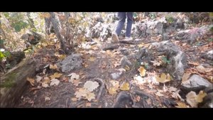 Майкоп - Плато Лагонаки смотровые площадки и пещера Сухая