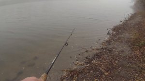 щука в декабре !#reels #врекомендации #fishing #shortvideo #астраханскаяобласть #shots