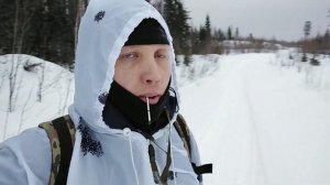 Охота на севере. Архангельская область. Луковецкая технологичка. Зимний лес,  охота на боровую дичь