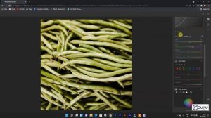 Lightroom Online | Free  Access Anywhere on Web