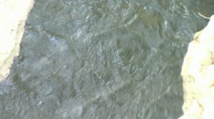 Лесная сказка и Теснина