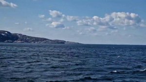 морская рыбалка на морской прогулке.  Фотоохота за китами. Териберка.  Баренцево море. май 2023 год