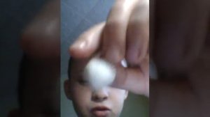 Коллекция раковин!