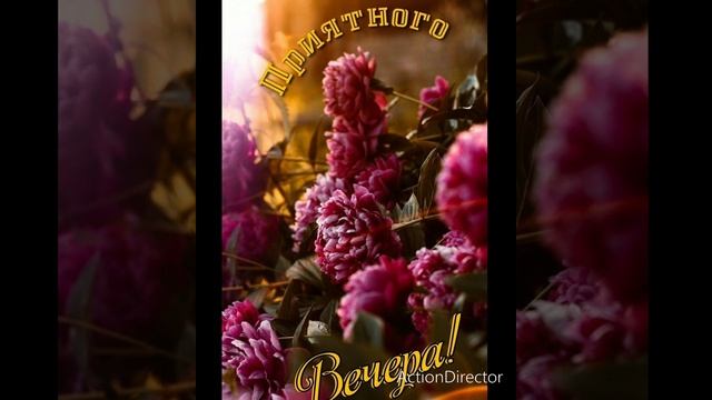 Мой вечерний привет друзьям???