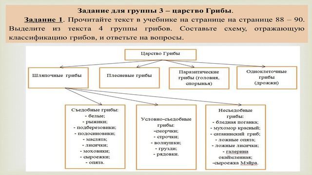 Многообразие и значение растений, животных и грибов (5 класс)