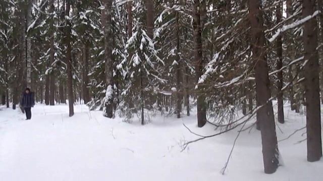 Расскажи мне сказку на ночь - Автор Анна Гетьман музыка и поёт Владимир Александров смотреть онлайн