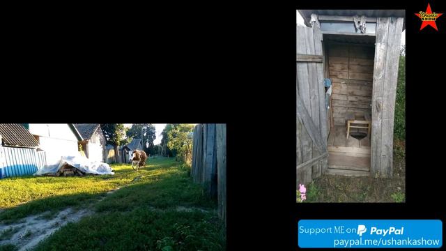 History of the Toilet Paper in the USSR. Scratching the Surface смотреть онлайн