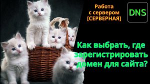 Выбор регистратора доменных имён. Как выбрать, сколько стоит и где регистрировать домен для сайта.