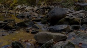 Ложусь я, сплю и встаю, ибо Господь защищает меня | Засыпай, слушая Божье Слово | Relaxing