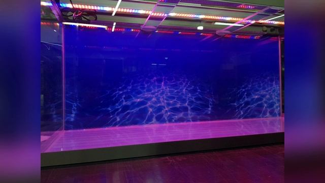 Аквариум с фитодиодами. смотреть онлайн