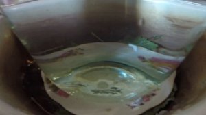 Как солить грибы на зиму (чёрный груздь), видео rybachil.ru