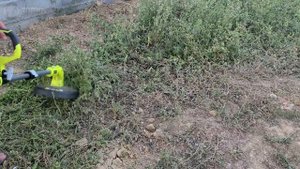 Ryobi OLT1832 18V ONE+ Cordless Grass Trimmer, 25-30cm - Test