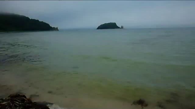 Приморский край. Японское море.