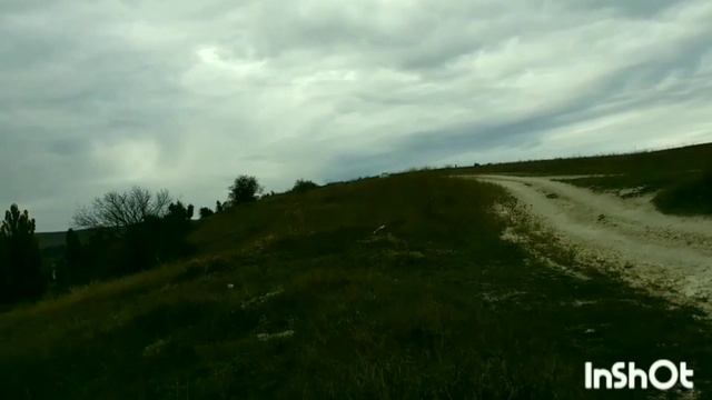 Посадка семян деревьев,с помощью шуруповерта- Makita HP001GD201 и земляного бура. смотреть онлайн