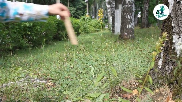 Зачем в городе трава? смотреть онлайн