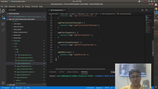 Angular 8 - Component/Directive Life Cycle смотреть онлайн