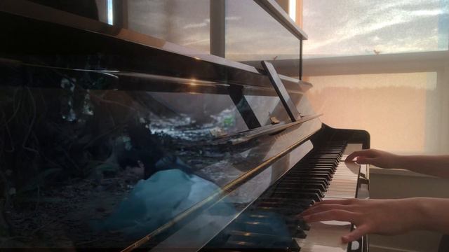 詹雯婷Faye：诀爱｜Burning Love Piano Ver.「Love Between Fairy and Devil OST」苍兰诀 燃爱片头曲 钢琴版