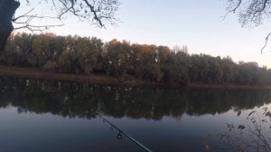 Джиг с берега по Днестру на течении