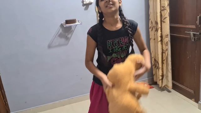 Dog protecting my pregnant wife | protecting baby | funny dog videos. смотреть онлайн