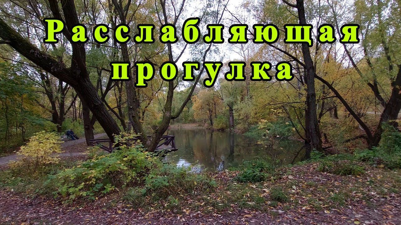 Расслабляющая прогулка