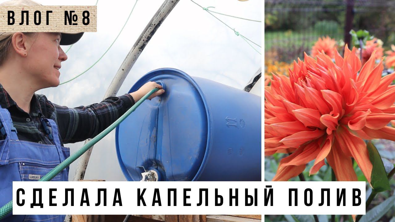 Я сделала капельный полив!!! Георгины, гладиолусы, подготовка грядок и работа в апреле в огороде