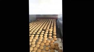 Газовая тоннельная печь со стальной лентой