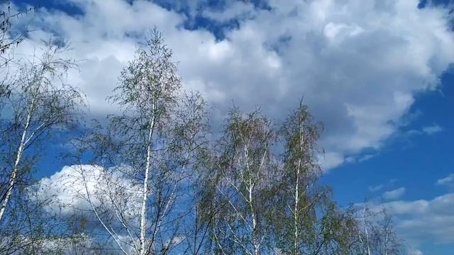 СВЕТЛАЯ НЕДЕЛЯ ПОСЛЕ ПАСХИ.Святые пасхальные дни.Что нельзя делать.Народные приметы
