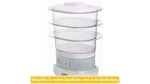 Tefal Dampf vc1301 Minicompact