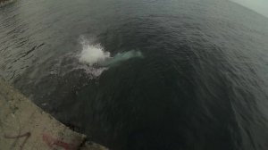 В Алуште на пляже. Керя))