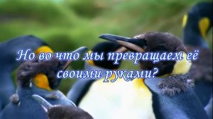 Экологический ролик Час Земли на ОМК