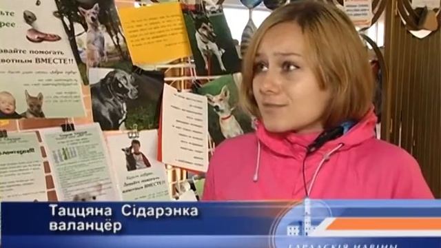 Всемирный день защиты животных. смотреть онлайн