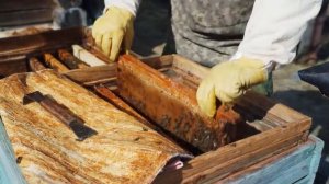 ЗАИМКА НА УРАЛЕ _ СОСЕД ЦЕЛЫЙ ГОД НЕ ВЫХОДИЛ НА УЛИЦУ! ПРИВОДИМ ЕГО В ПОРЯДОК