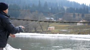 В Карпаты за мечтой! Дунайский лосось! Таймень!