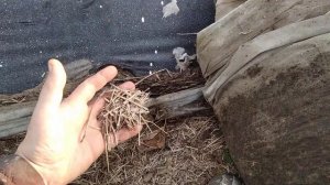 Особенности крепления и использования мульчирующей плёнки и агроволокна пластиковыми дюбелями!