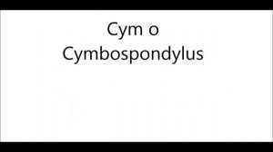 Cym o Cymbospondylus